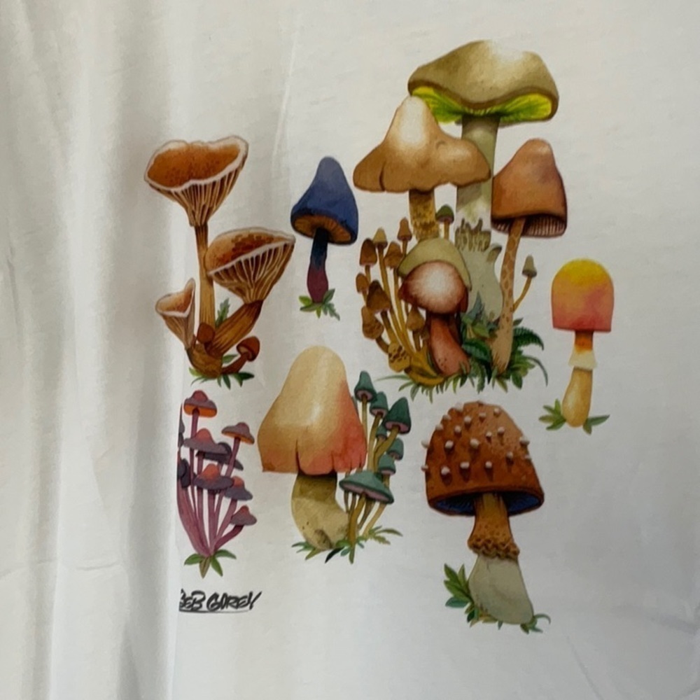 Druthers Organic Cotton Seb Gorey Watercolor Shrooms T-Shirt - White - Picture 3 of 4